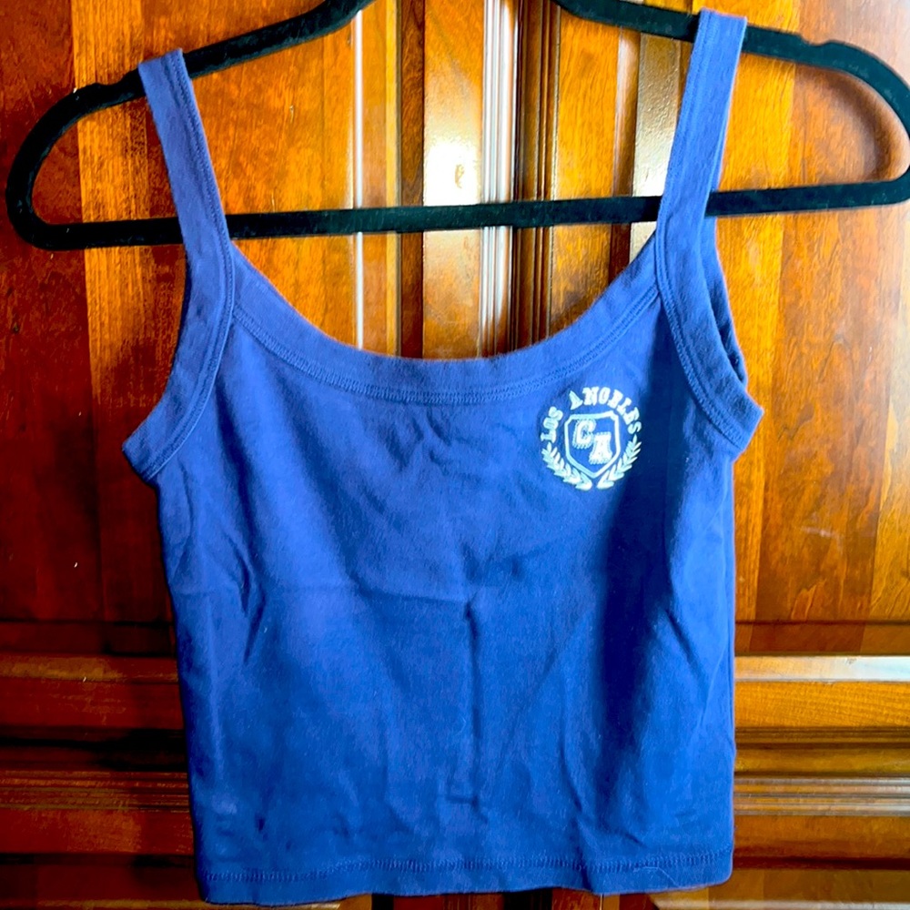 Blue Los Angeles crop top